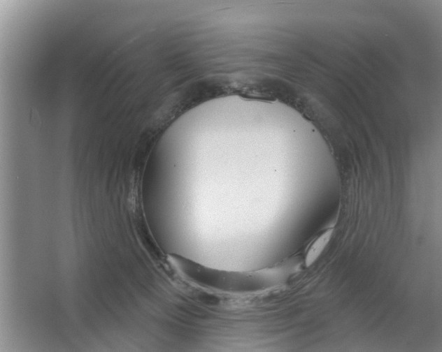 X0000066530129200604141849