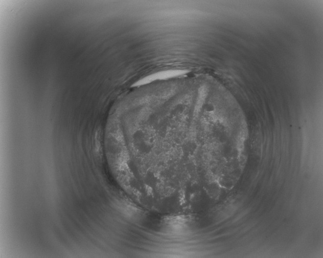 X0000066530131200604141849