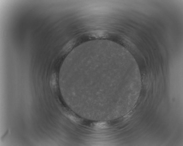 X0000066530132200604141849