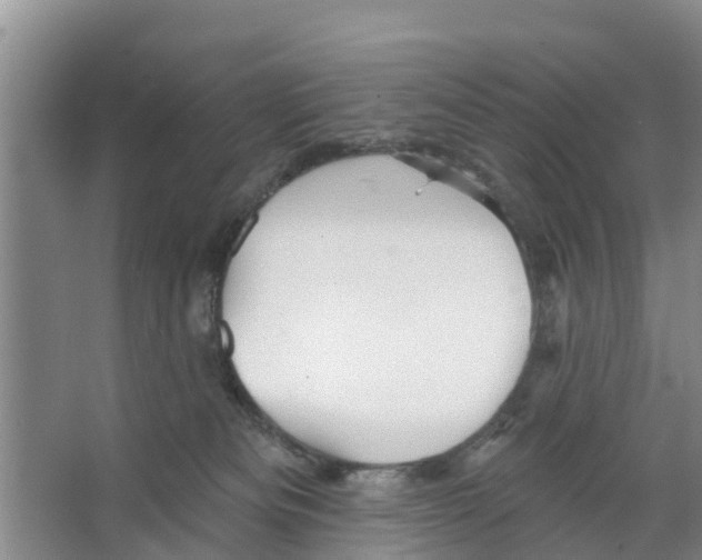 X0000066530133200604141849