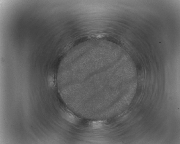 X0000066530134200604141849