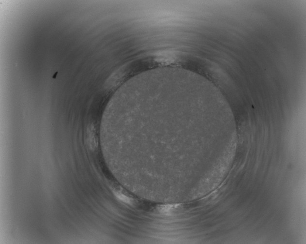 X0000066530136200604141849