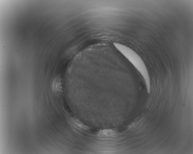 X0000066530137200604141849