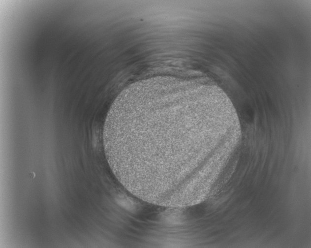 X0000066530138200604141849