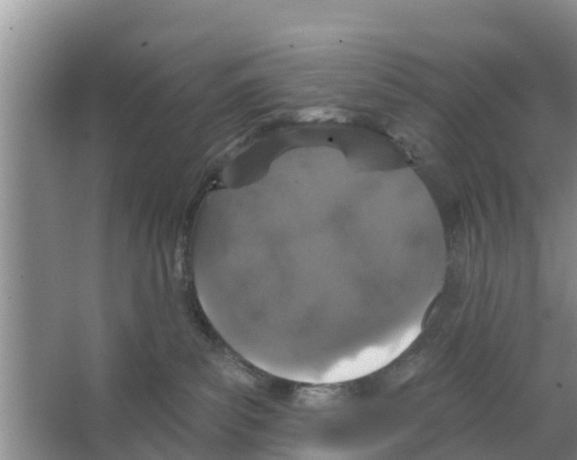 X0000066530139200604141849