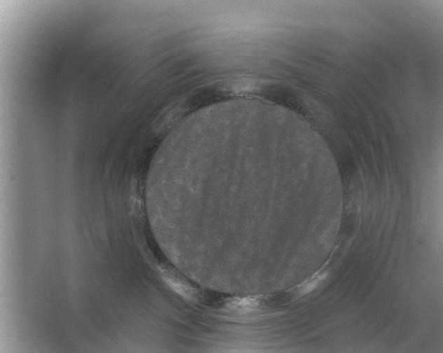 X0000066530140200604141849