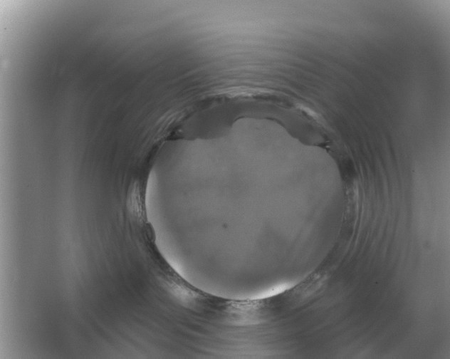 X0000066530143200604141849