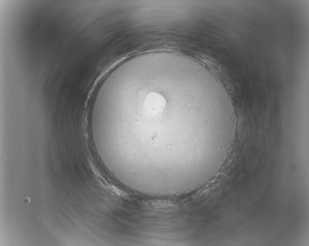 X0000066530146200604141848