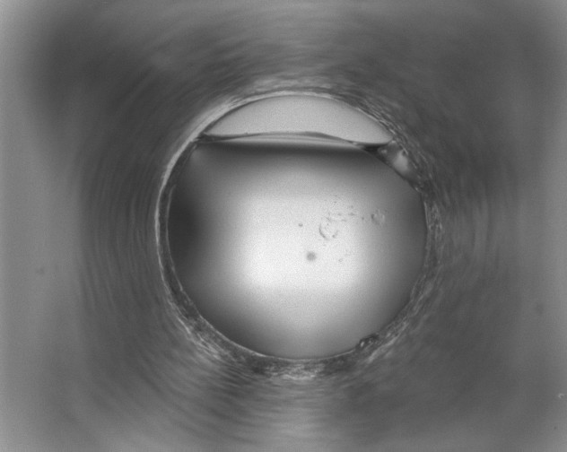 X0000066530148200604141848