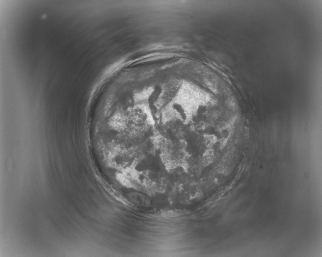 X0000066530149200604141848