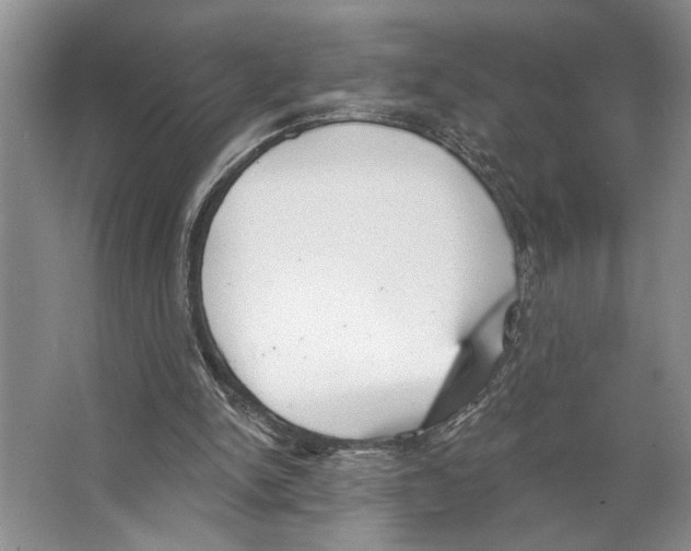 X0000066530150200604141848