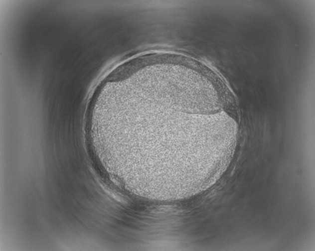 X0000066530151200604141848