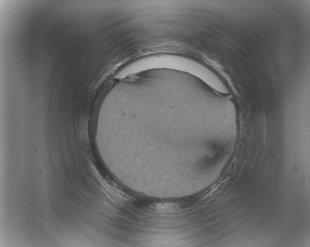 X0000066530154200604141848