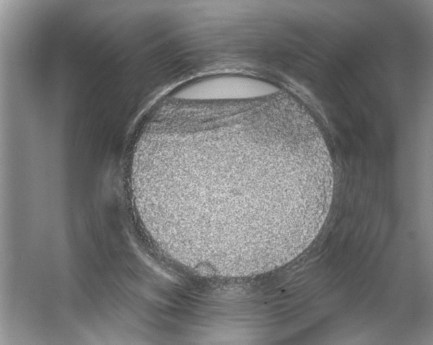 X0000066530155200604141848