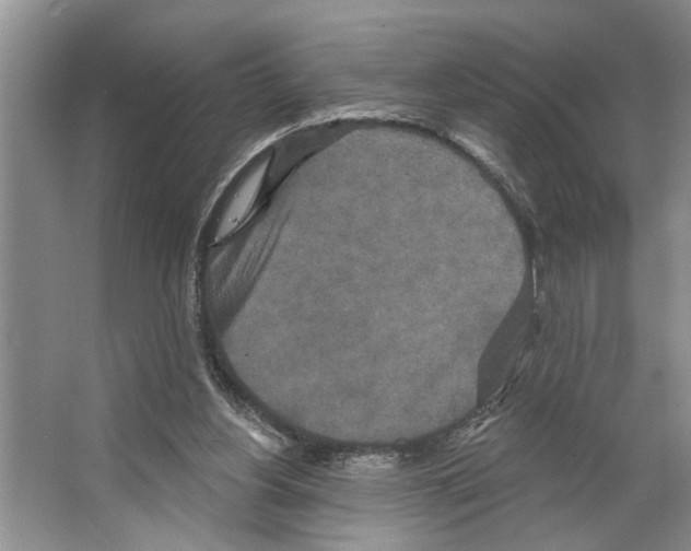 X0000066530156200604141849