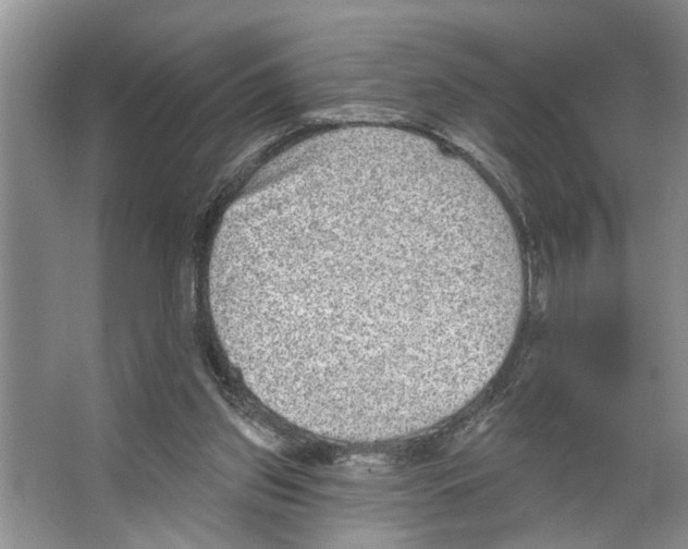 X0000066530157200604141849