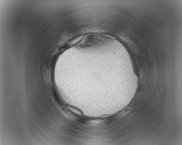 X0000066530158200604141849