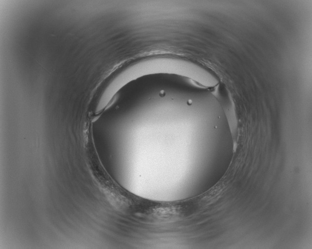 X0000066530160200604141849