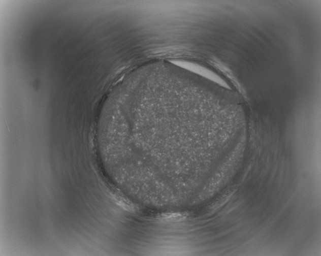 X0000066530161200604141849