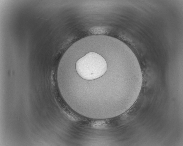 X0000066530162200604141849