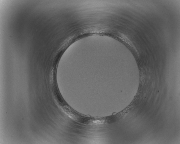 X0000066530163200604141849