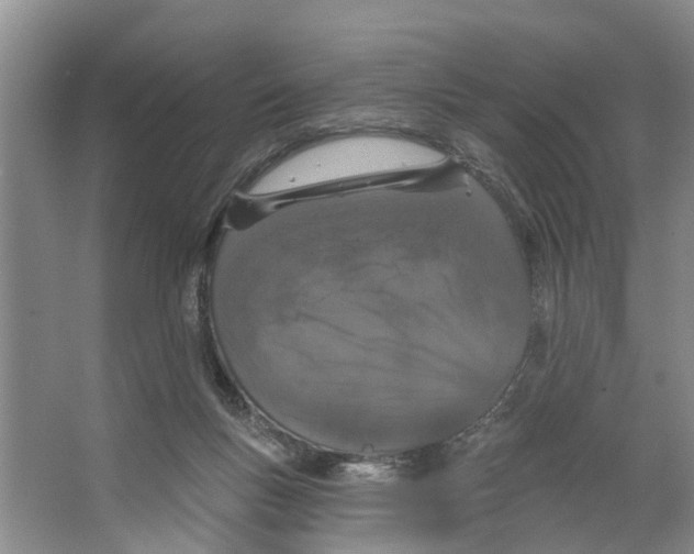 X0000066530167200604141849