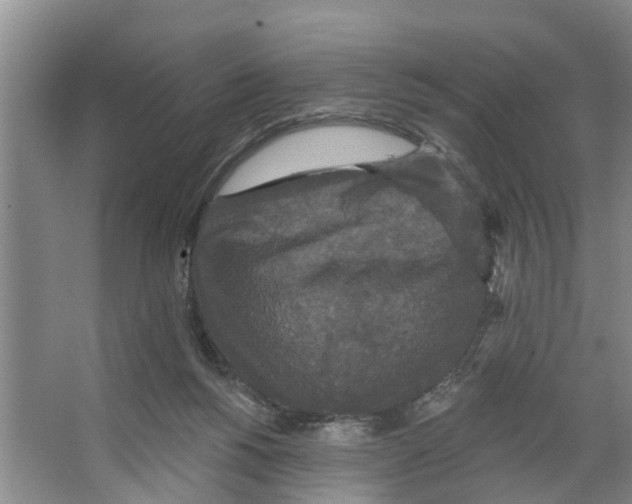 X0000066530168200604141849