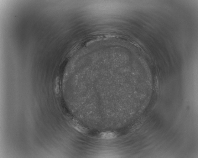 X0000066530169200604141849