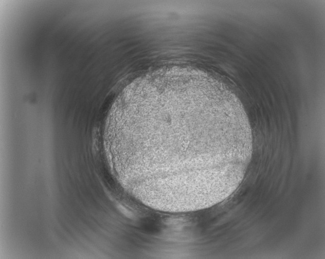 X0000066530171200604141849