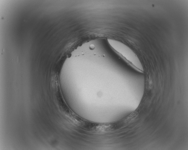 X0000066530172200604141849