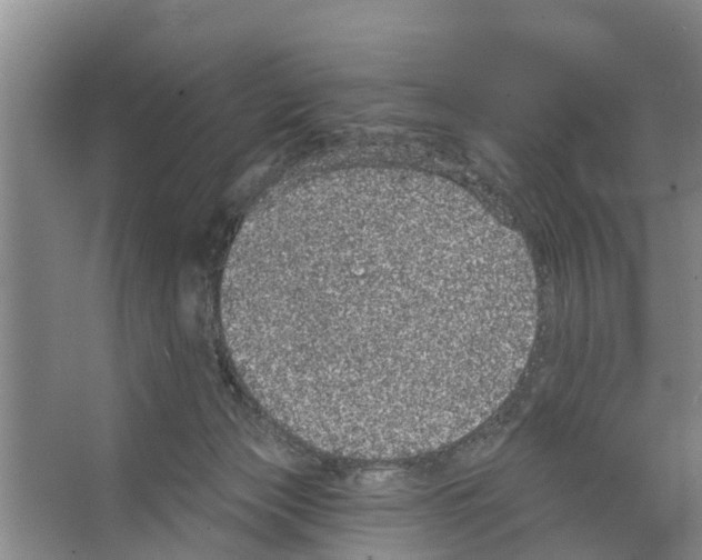 X0000066530173200604141849