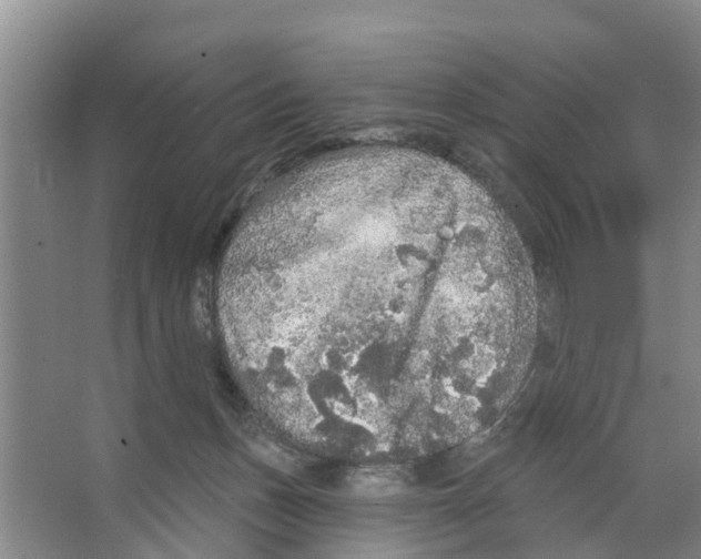 X0000066530175200604141849