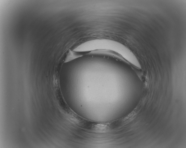 X0000066530176200604141849