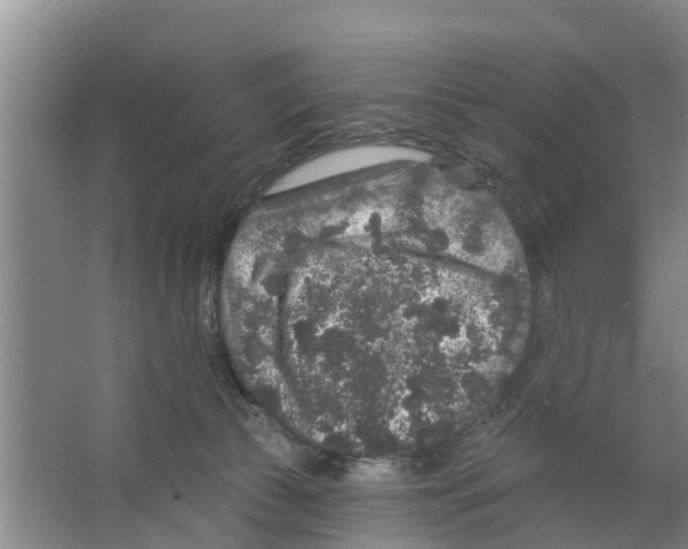 X0000066530177200604141849