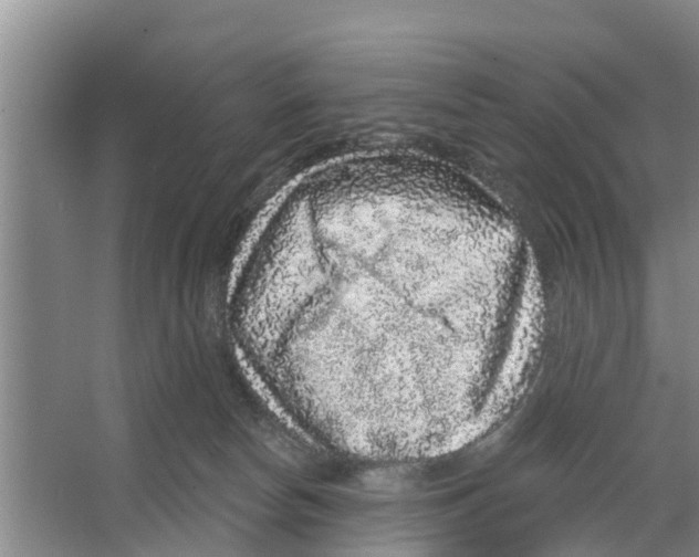 X0000066530178200604141849