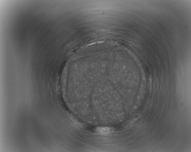 X0000066530181200604141849