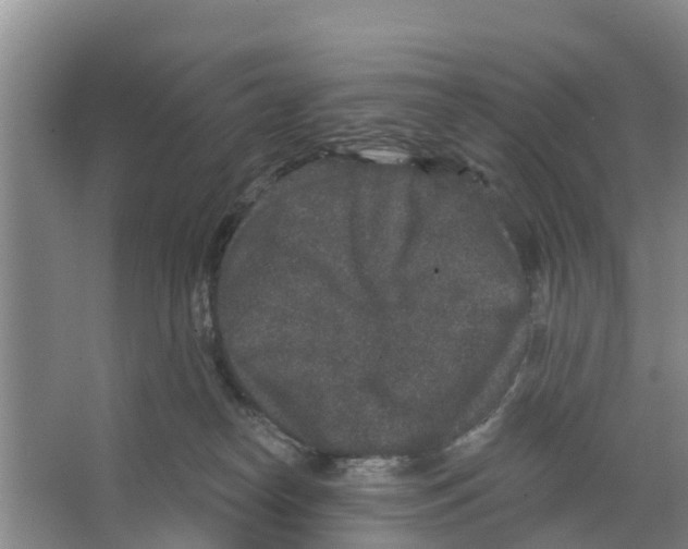 X0000066530182200604141849