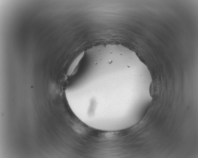 X0000066530184200604141849