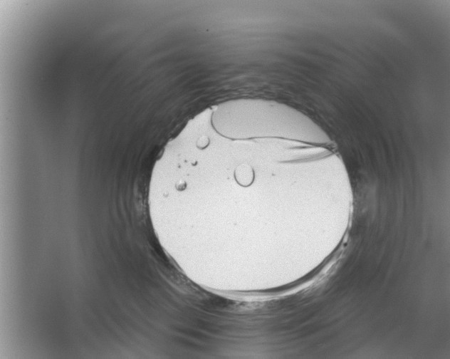 X0000066530186200604141849