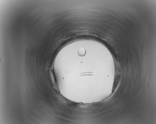 X0000066530190200604141849