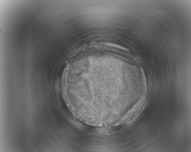 X0000066530191200604141849