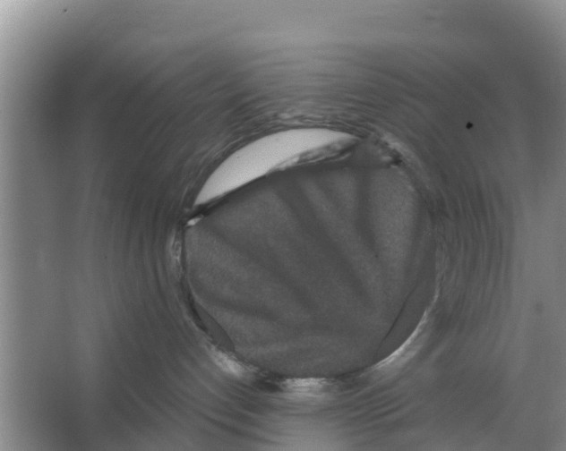 X0000066530192200604141849