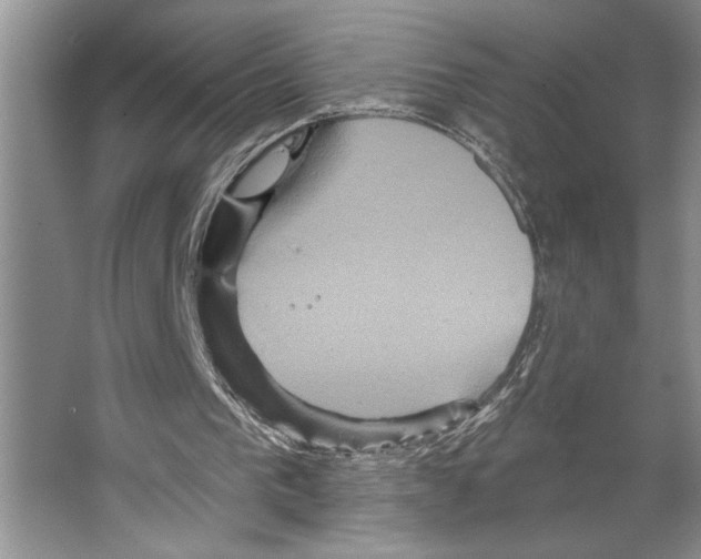 X0000066530193200604141848