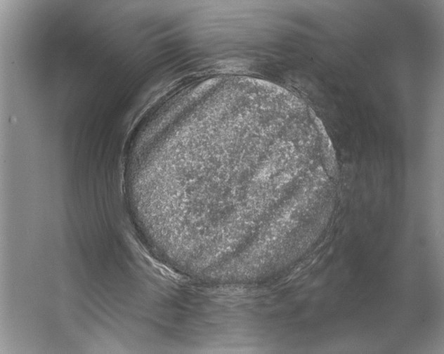 X0000066530194200604141848