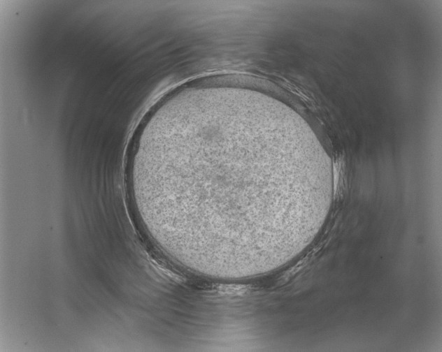 X0000066530195200604141848