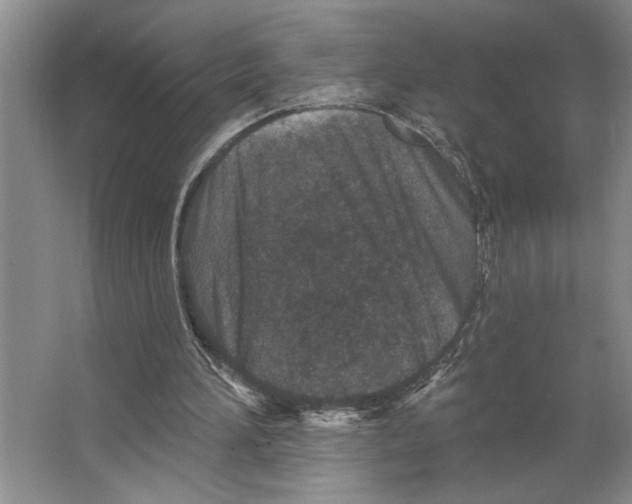 X0000066530196200604141848