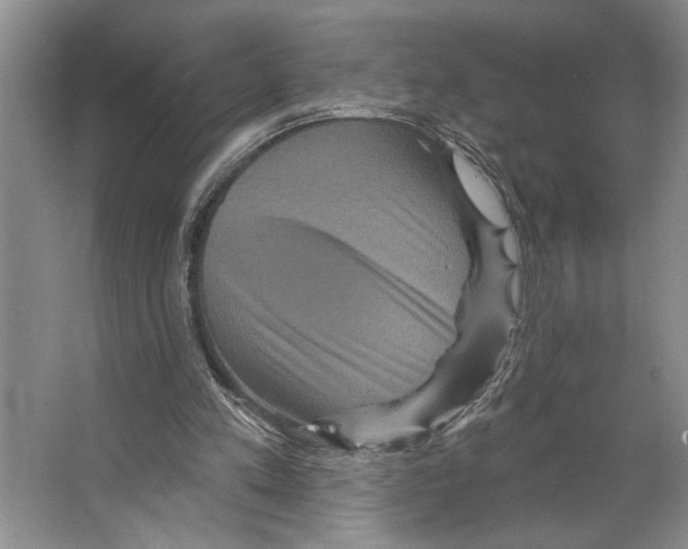 X0000066530197200604141848