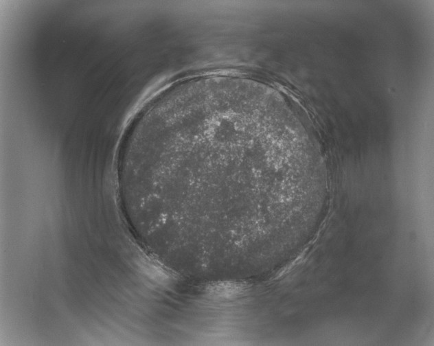 X0000066530198200604141848