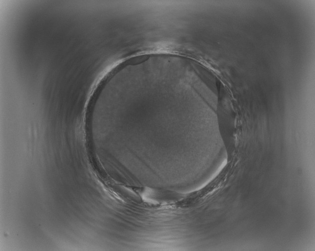 X0000066530200200604141848