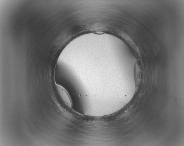 X0000066530201200604141848